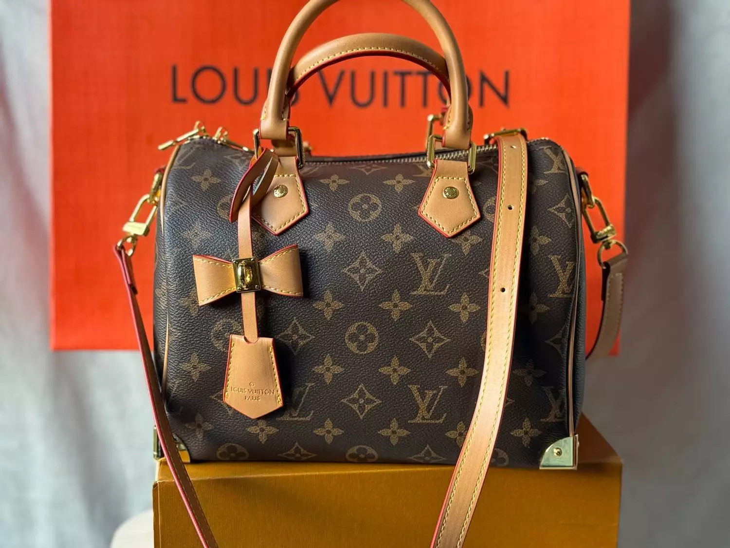 Lv crossbody bag image