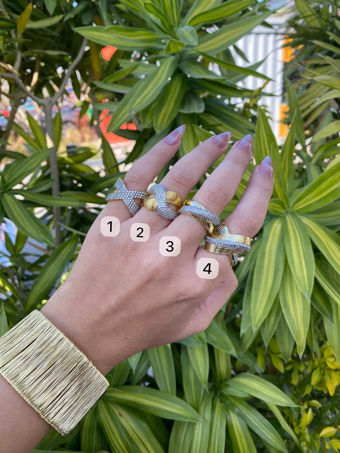 Champagne rings 1