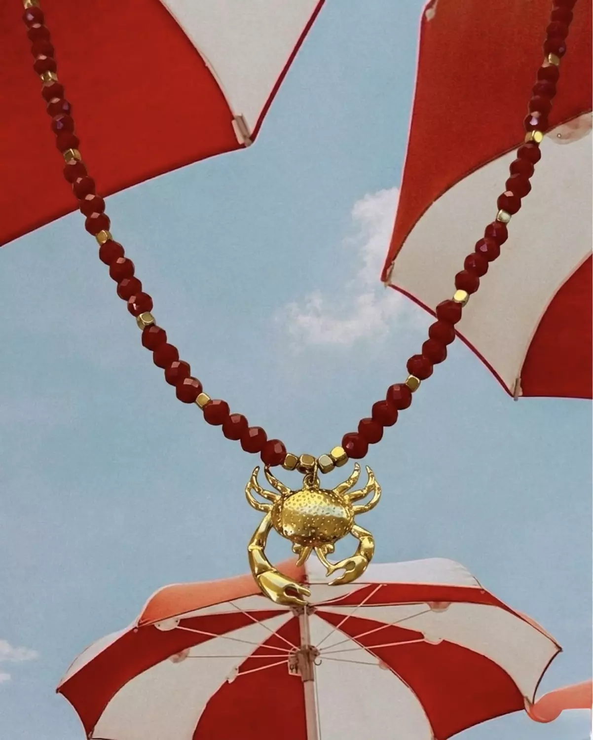 Reddie Crab 4