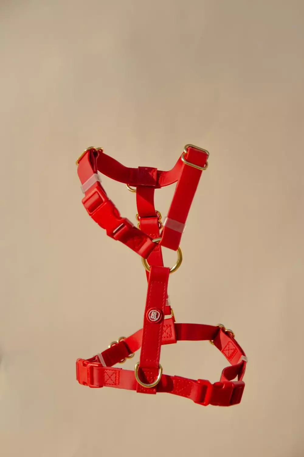 Essential Dog Harness 6