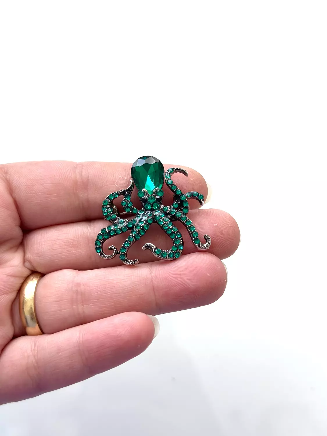 Octopus  image