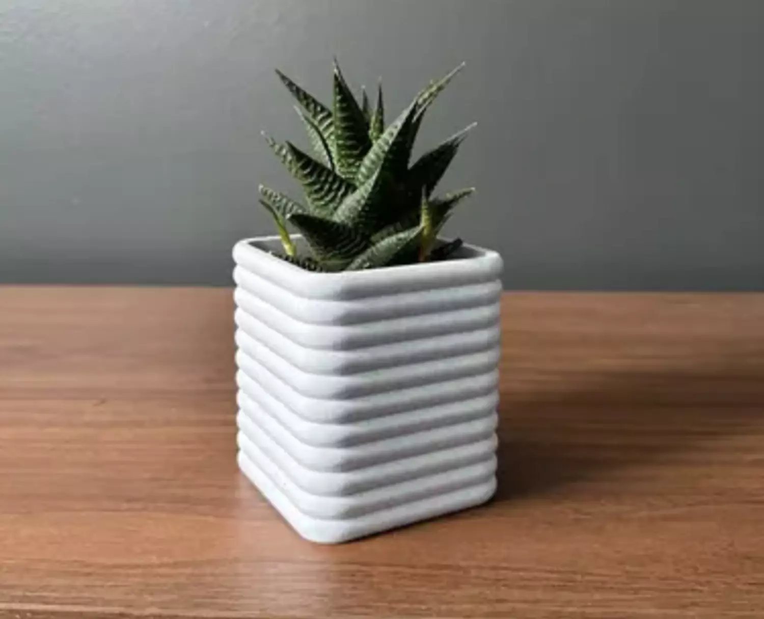 Square Poppy Planter image