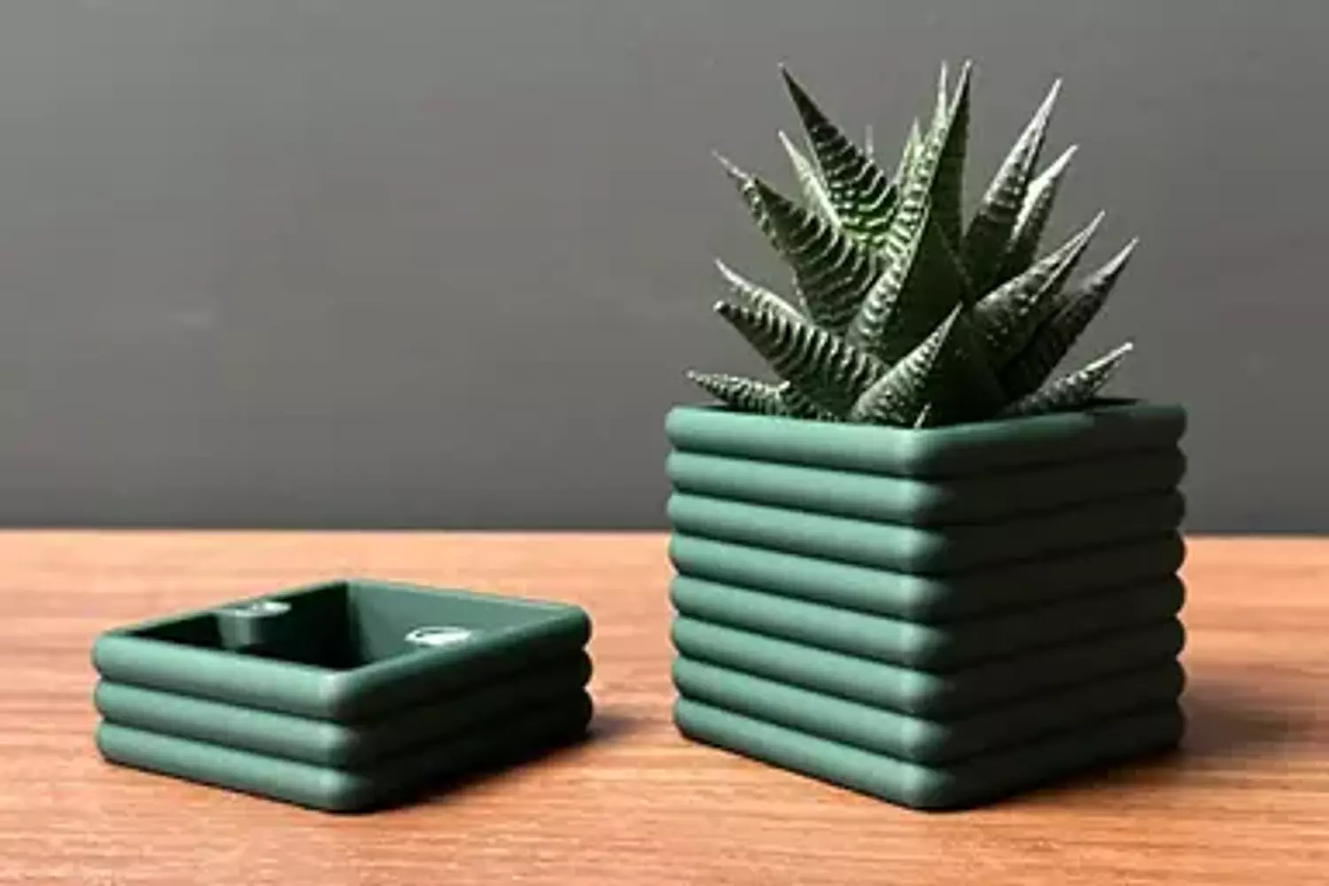 Magnetic Drip Tray Planter - Square Poppy hover image