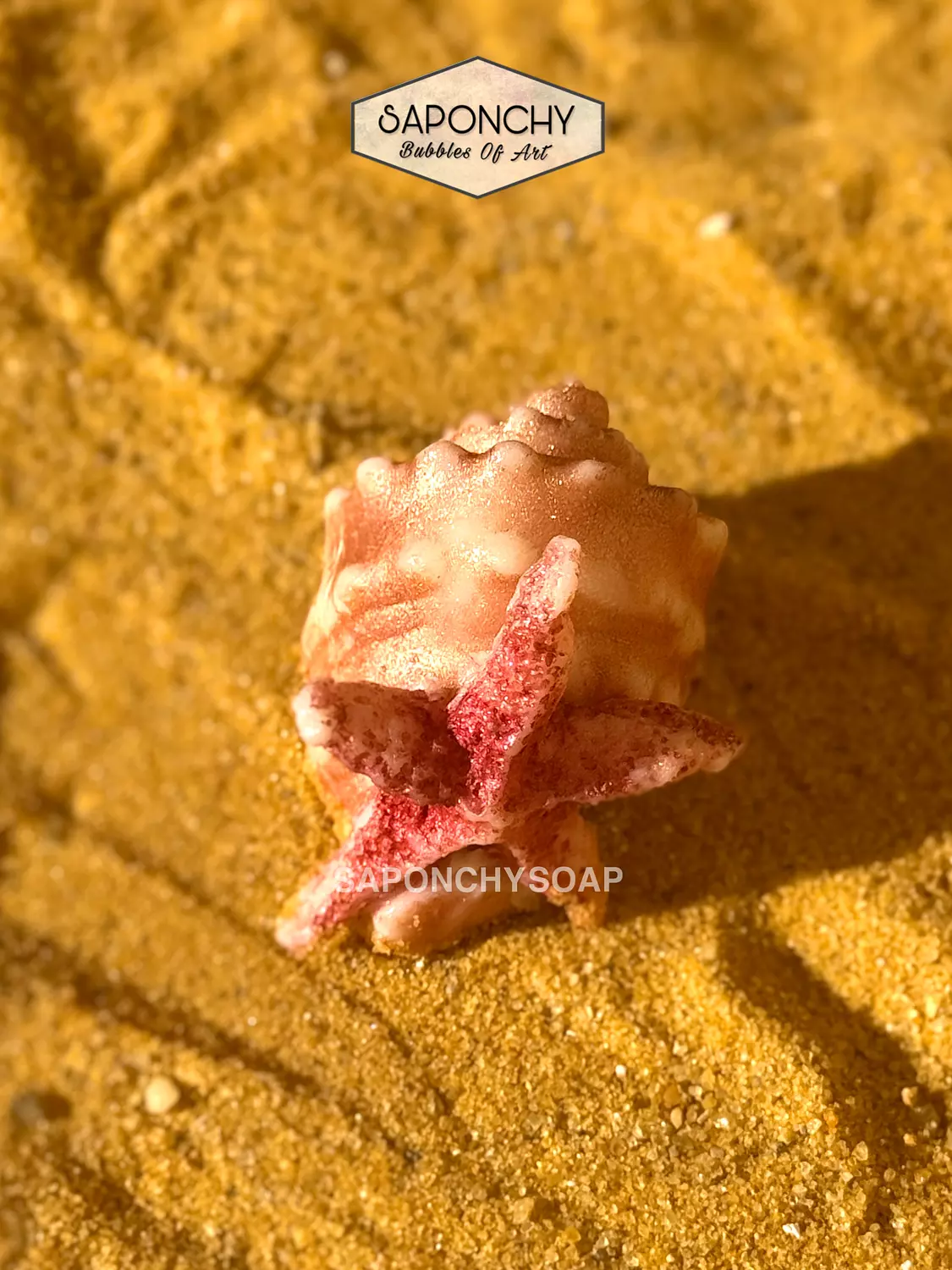 SHELL SOAP 3
