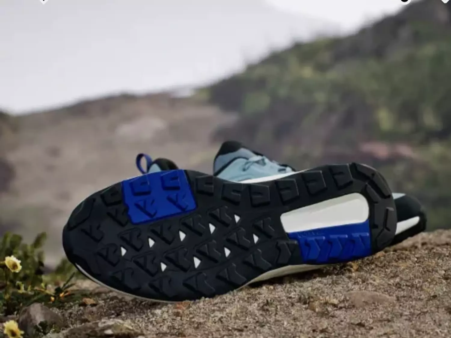 Adidas Terrex Anylander Hiking hover image
