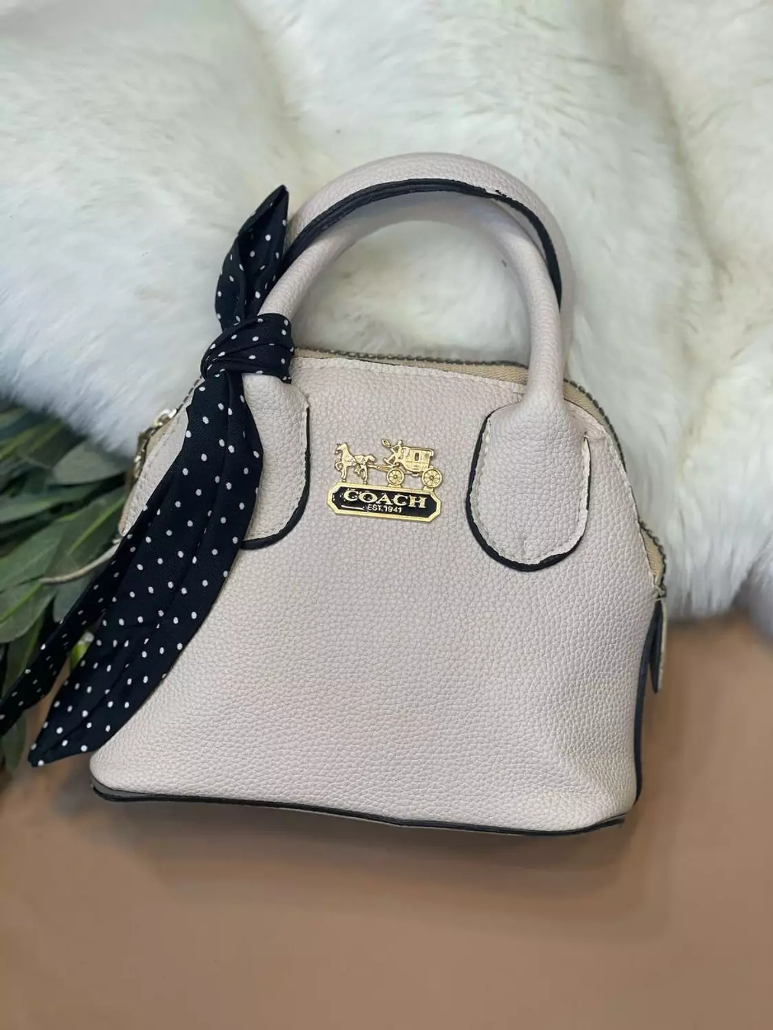 Mini COACH Bag 4