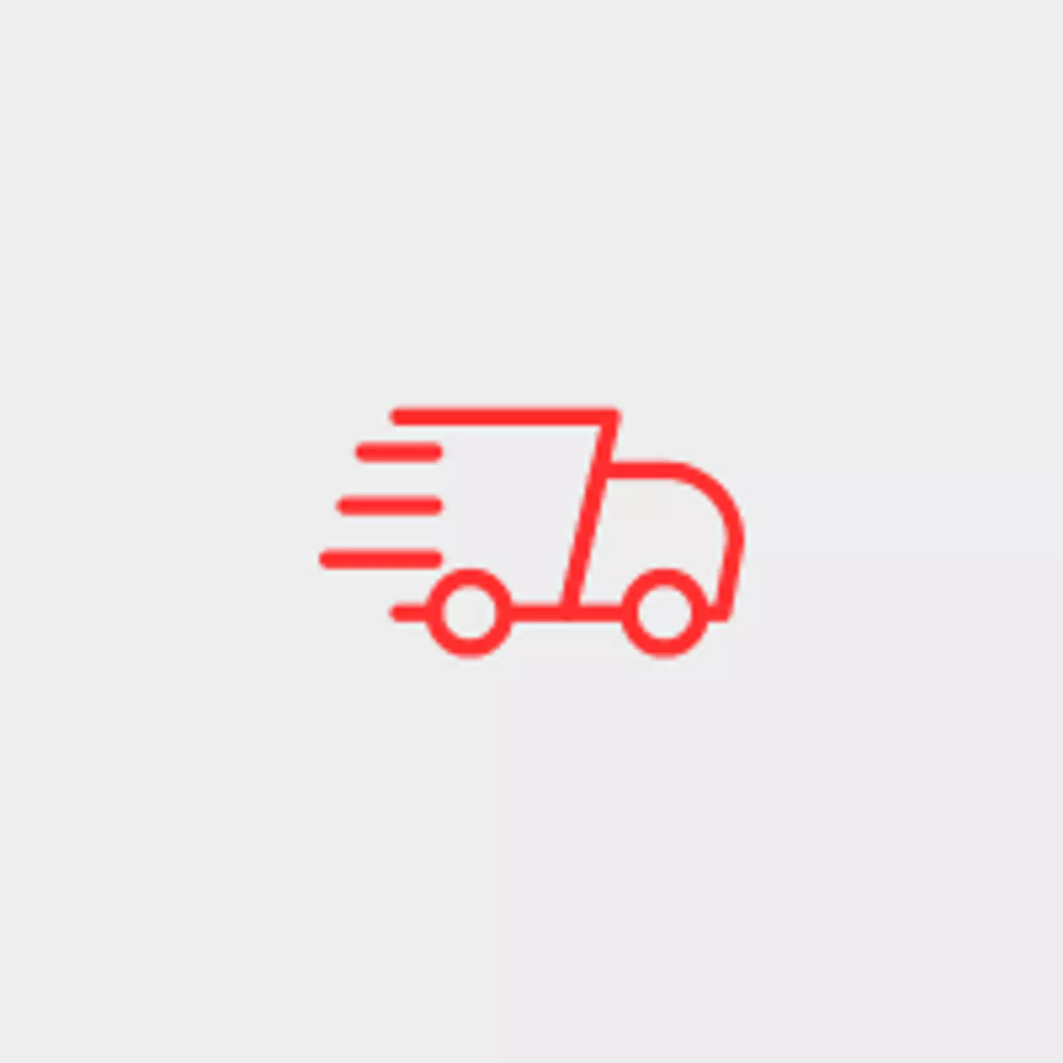 <p>FAST DELIVERY</p>