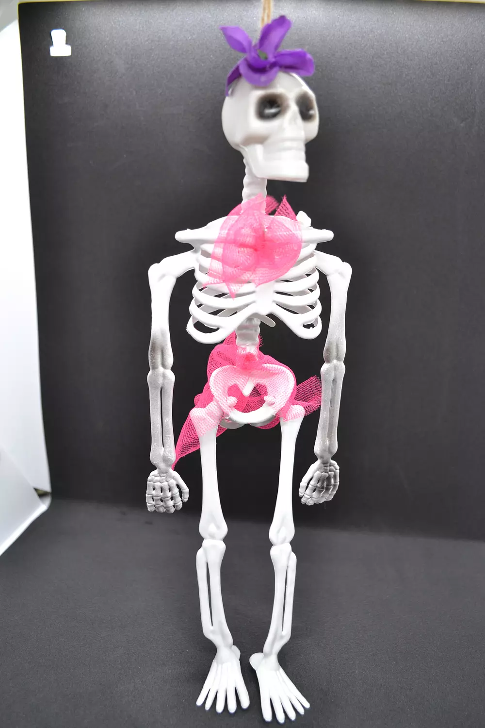 Skeleton Decor Colors image