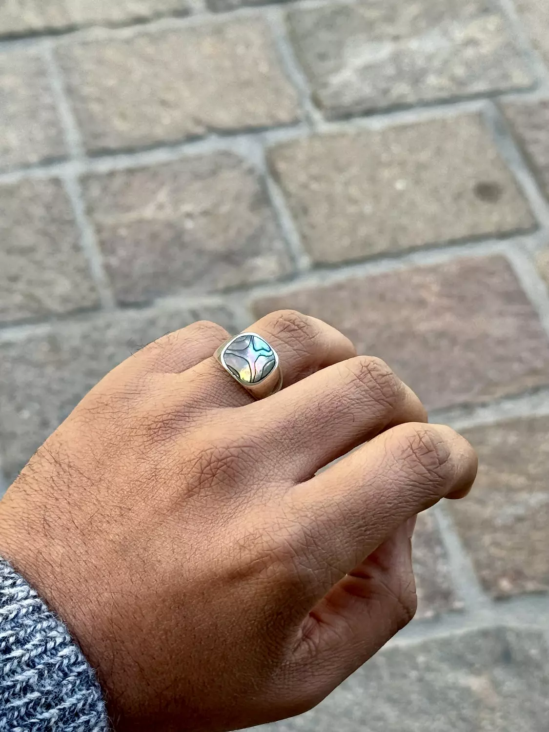 Seashell Allure  hover image