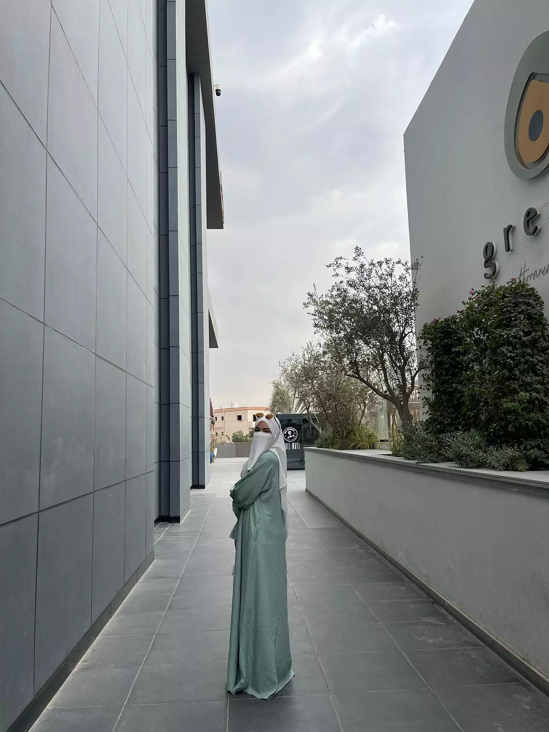 Linen Dress 6