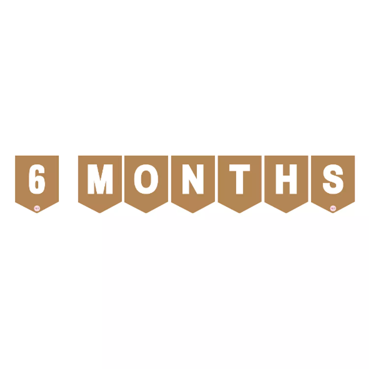 6 Months Garland image