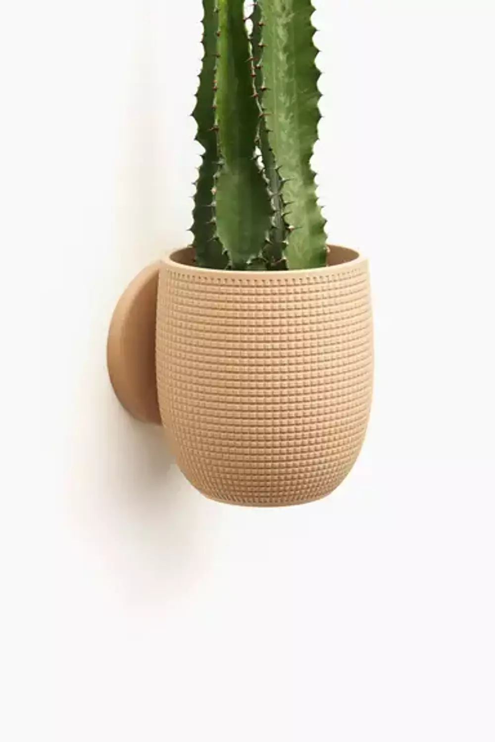 Grid planter 3