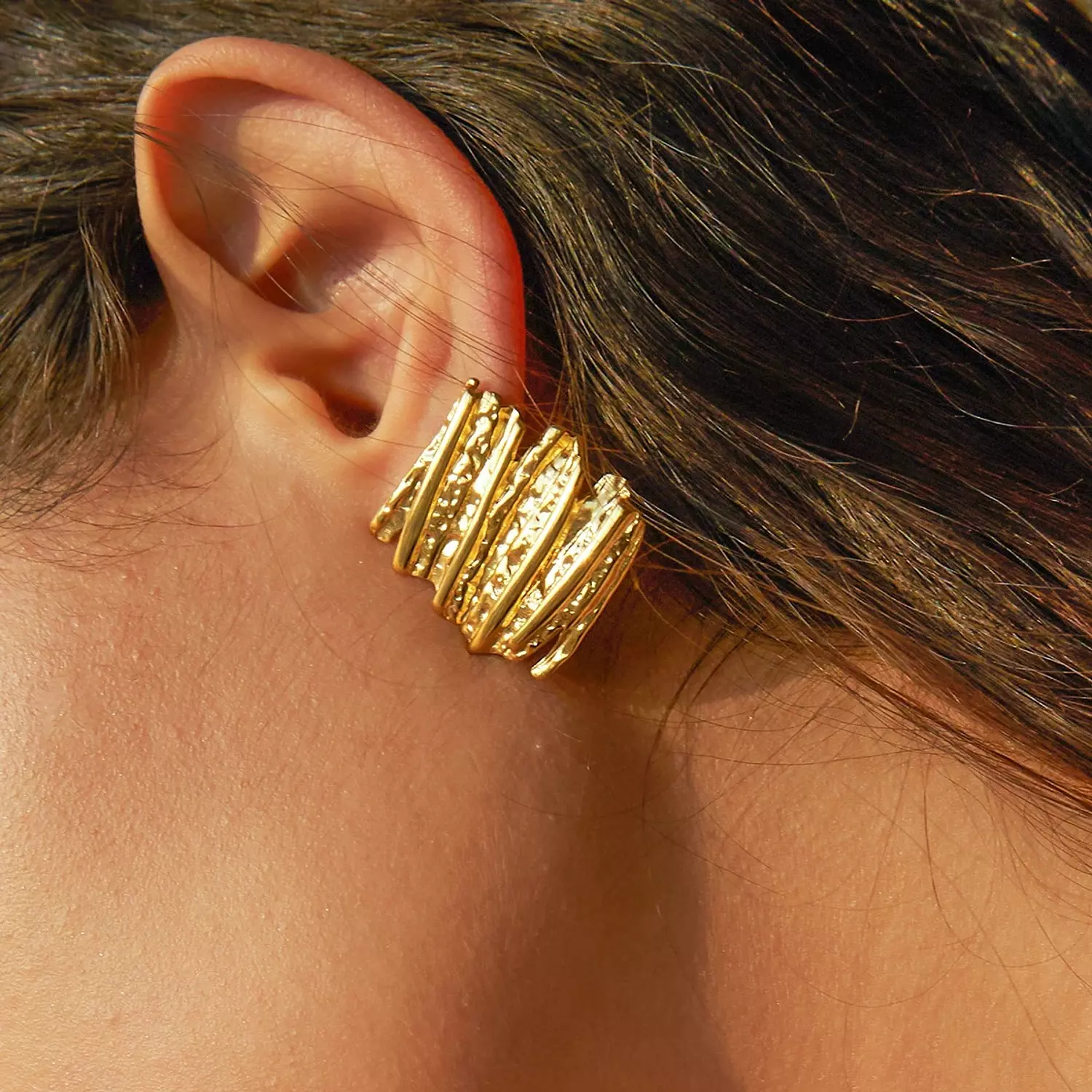 Zigy Earrings 1