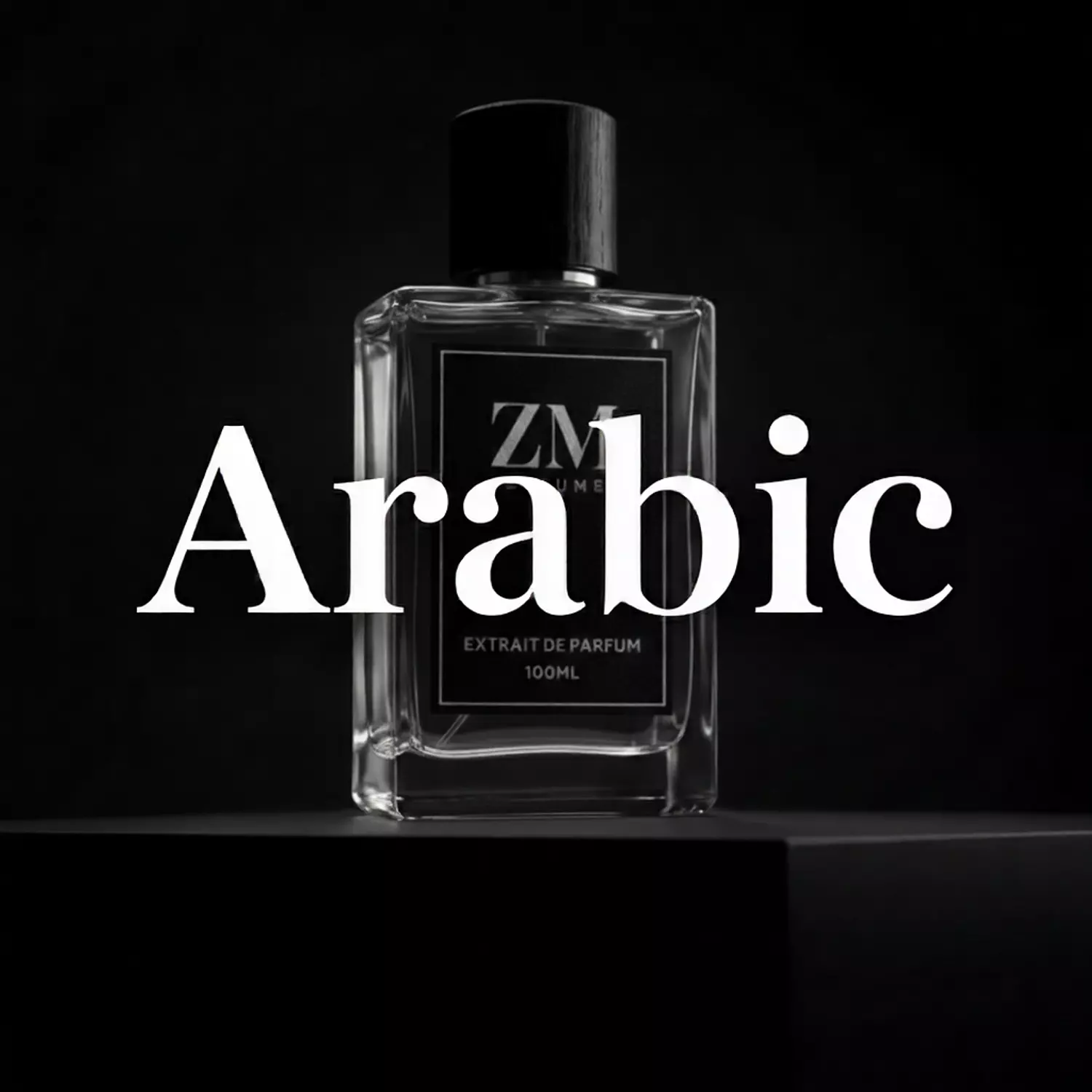 <p style="text-align: start"></p>