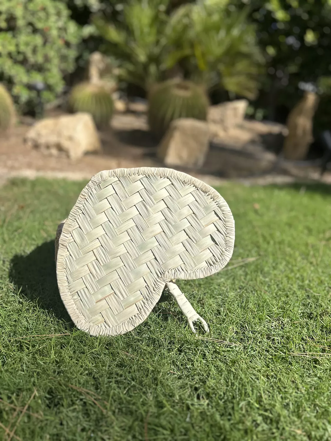 Boho Palm Fan  image