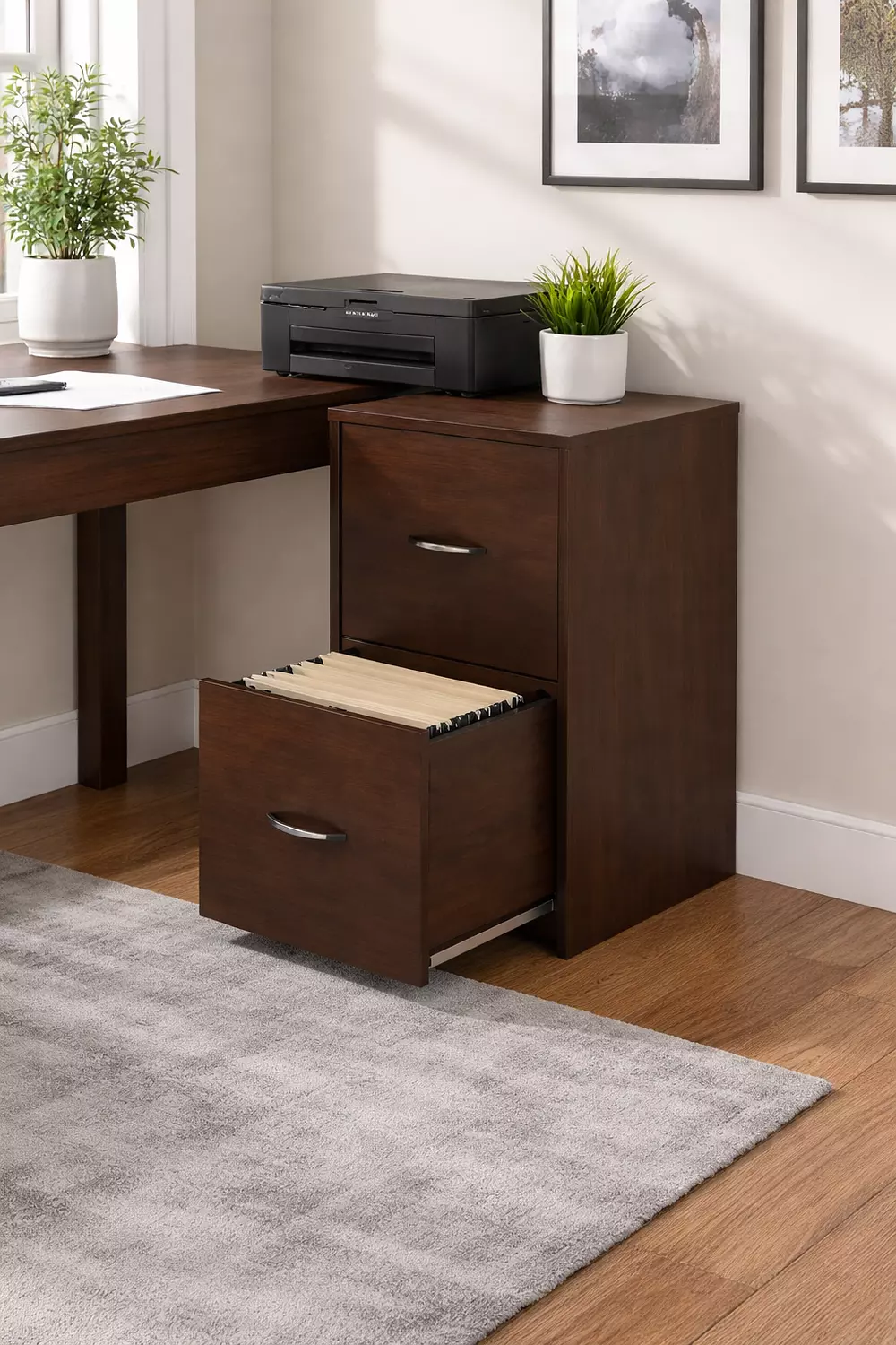  شانون 2 درج بني 329 image