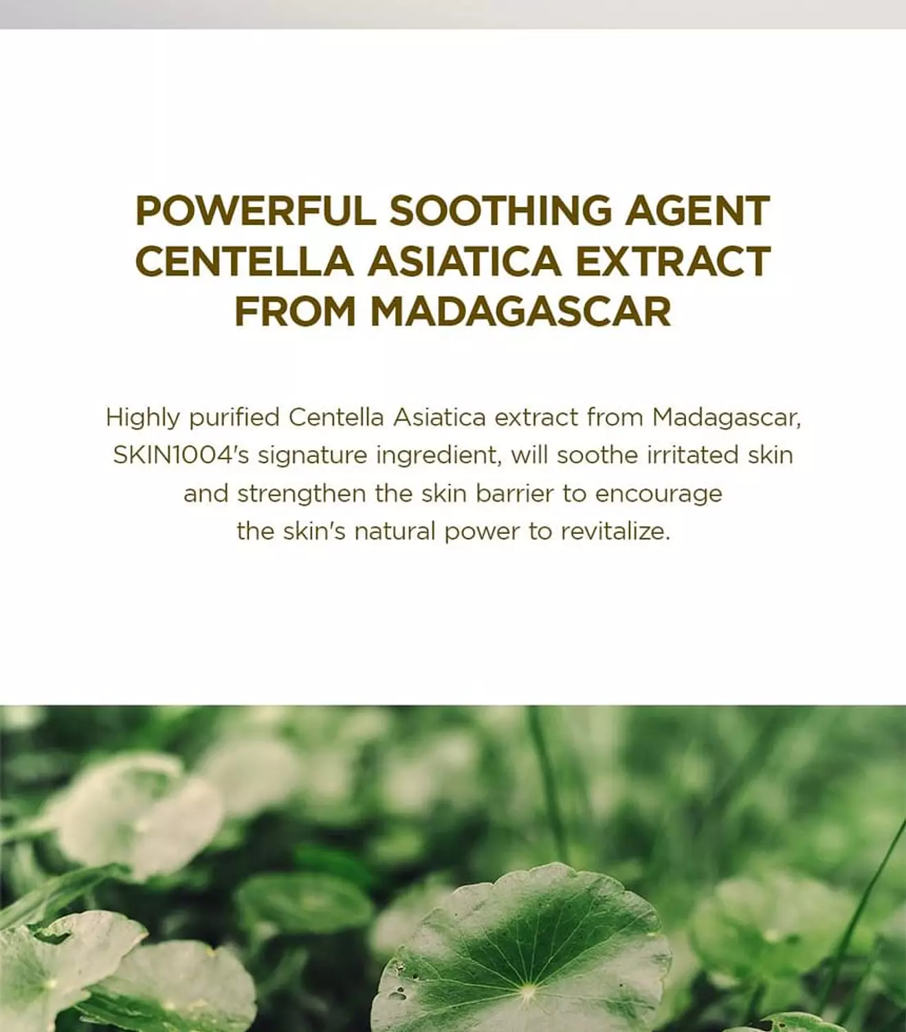 SKIN1004 - Madagascar Centella Cream 3