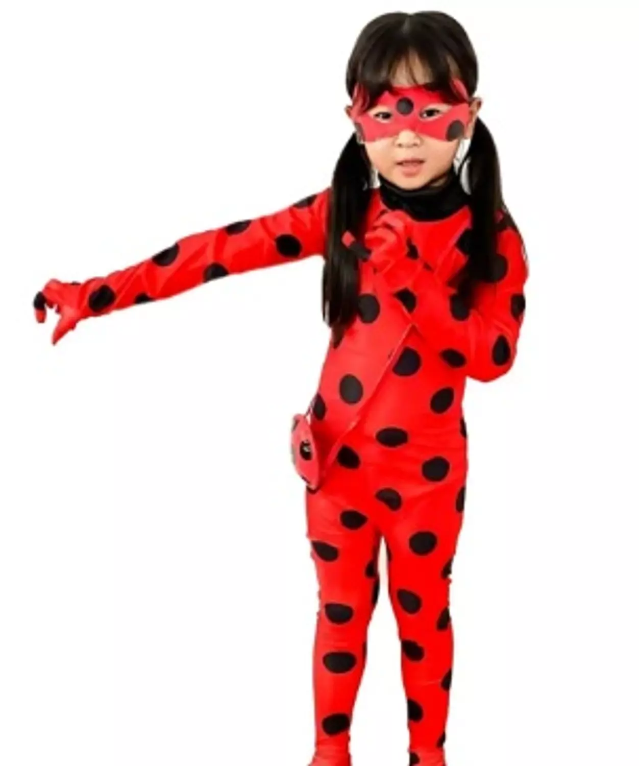 Ladybug image