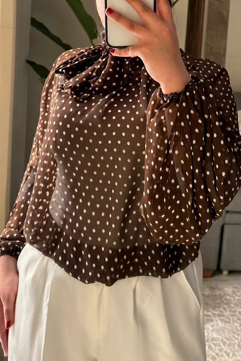 Victorian High Collar Blouse with Bishop Sleeves 8