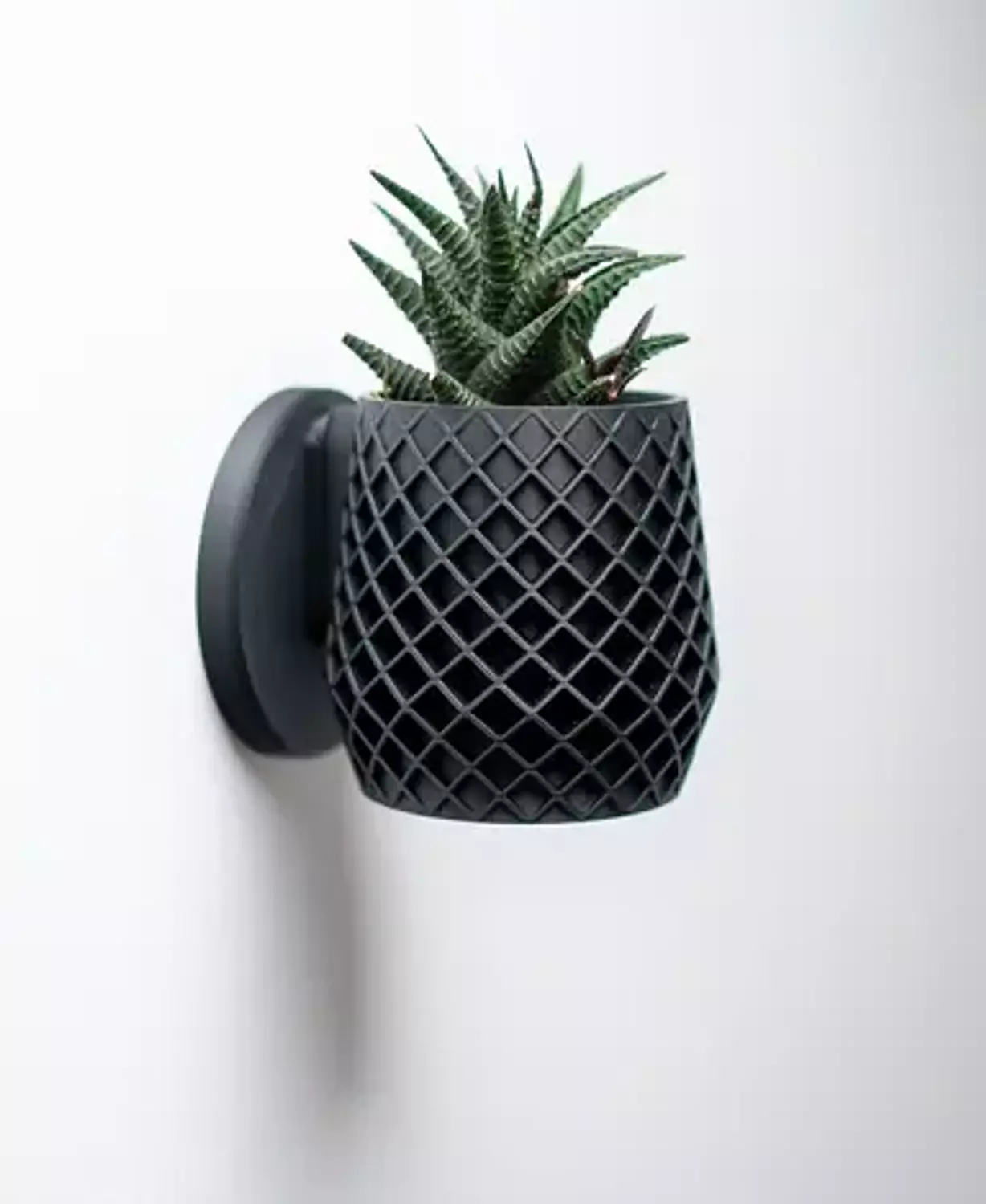 Lattice Planter hover image