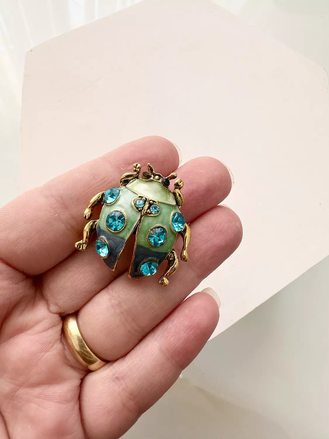 Blue bug image