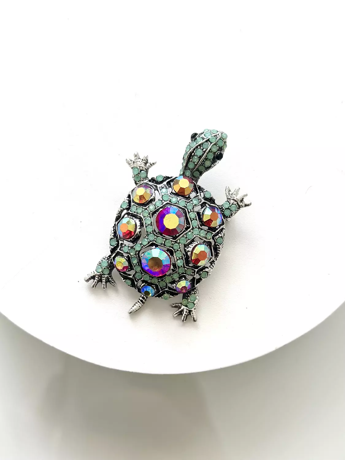 Geni turtle  image