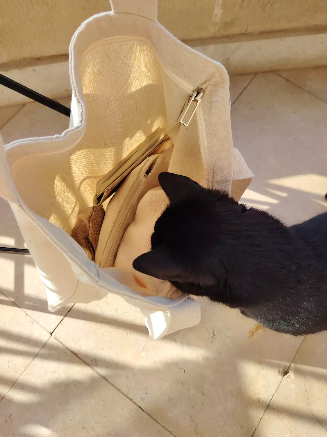 Dog Person Tote  2