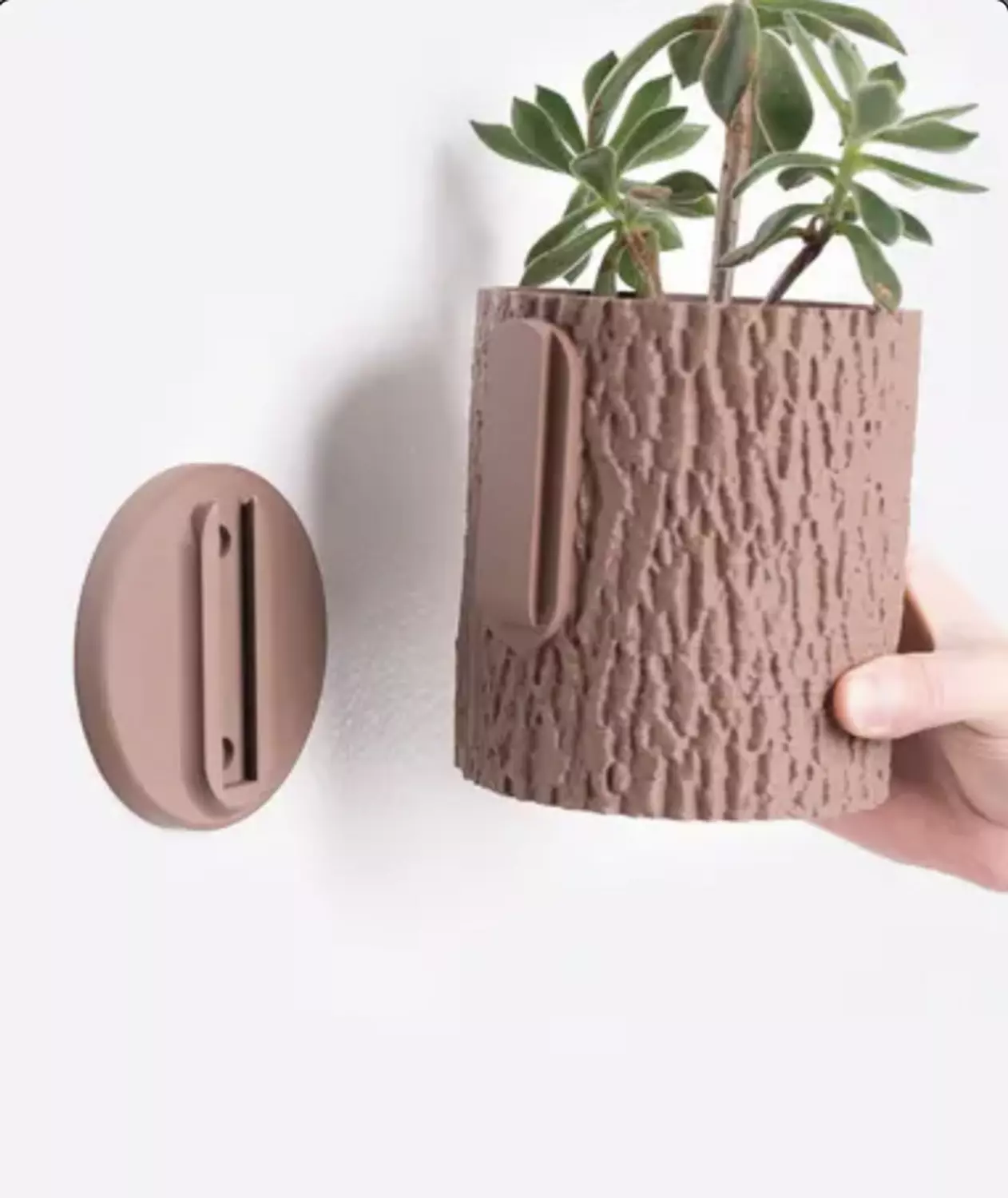 Tree Bark Planter 2