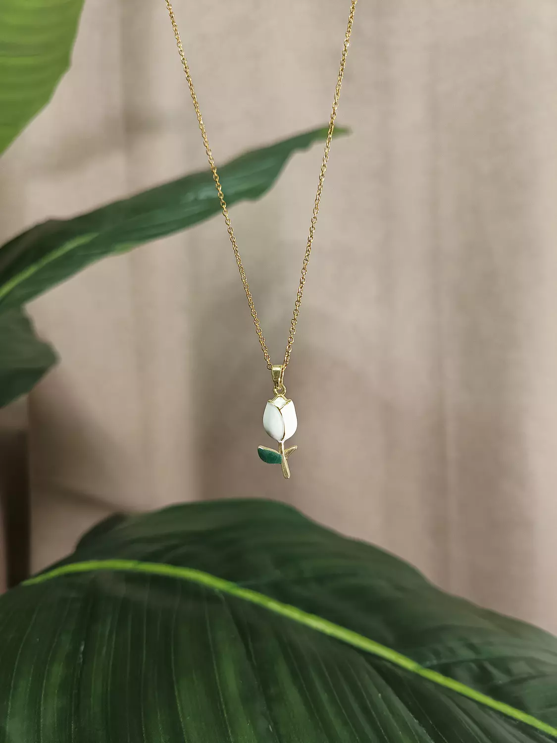 سلسلة الوردة البيضاء image