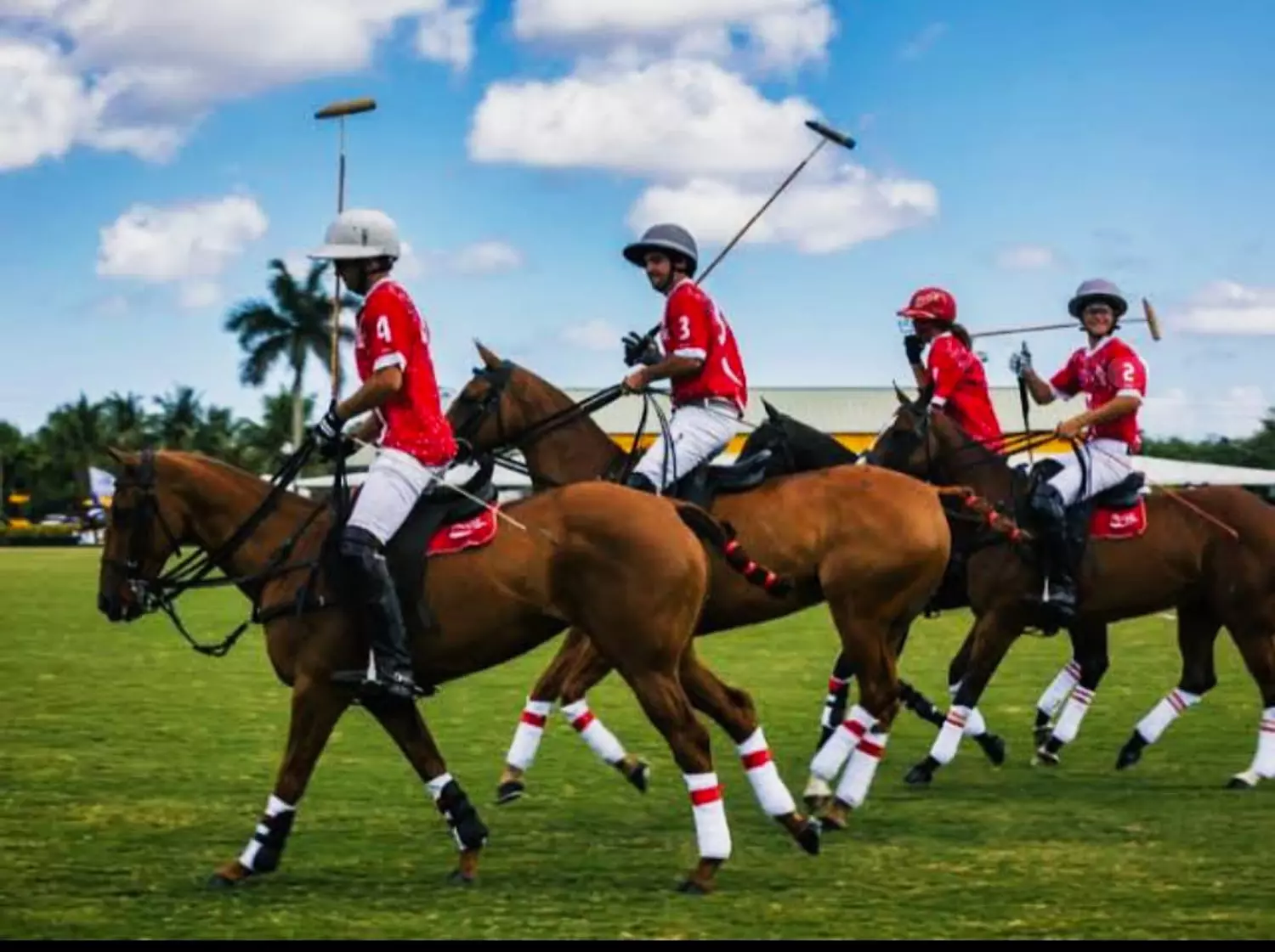 🎖️🌐Where Legends Meet Reality.The Timeless Sport of Polo. 4