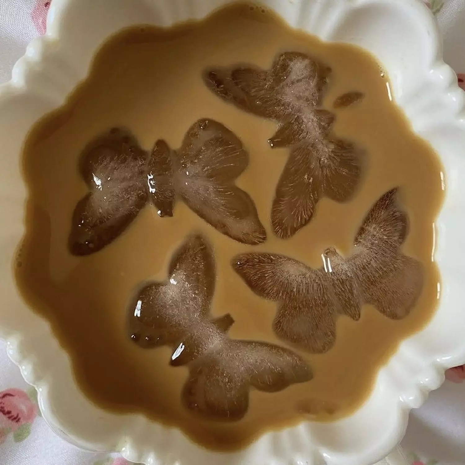 Butterfly ice cube tray  3