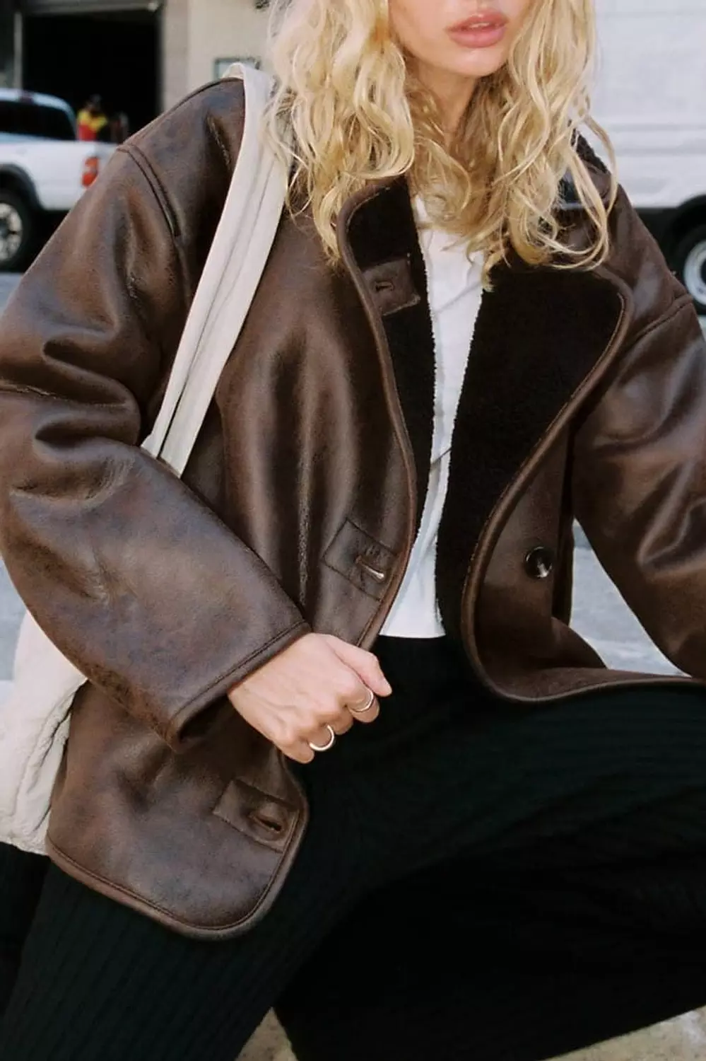 <p style="text-align: start"> Teddy Bomber</p>