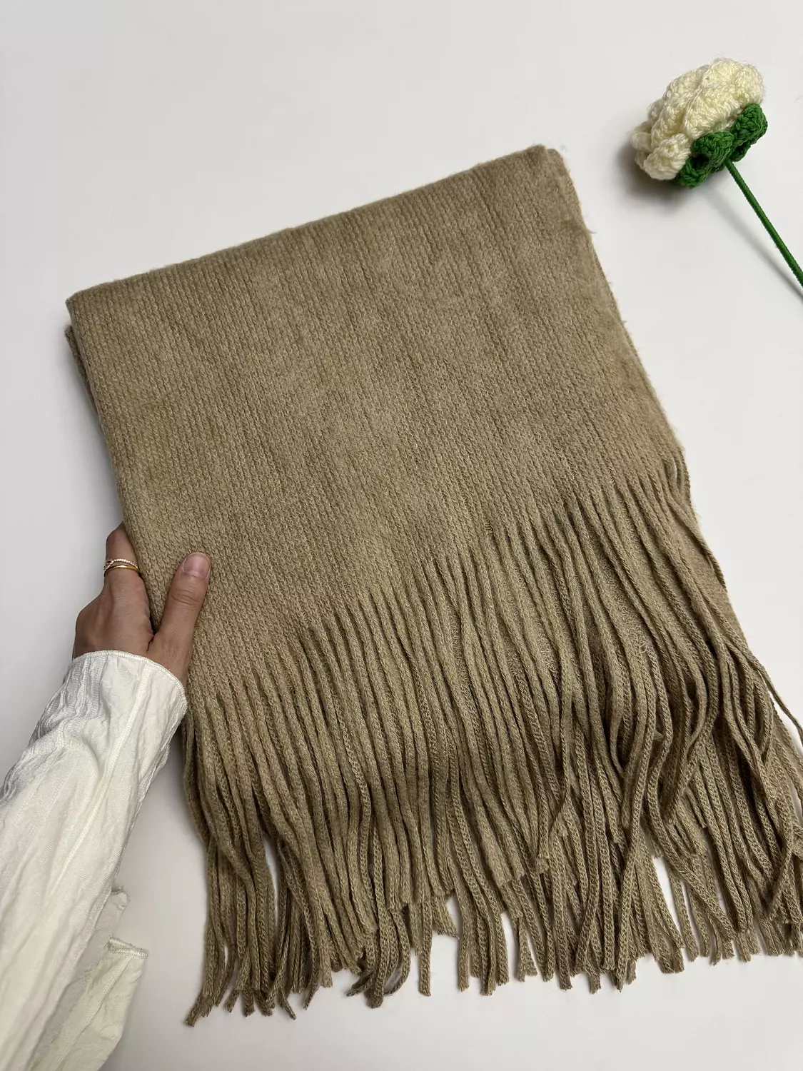 Camel 🧣 image