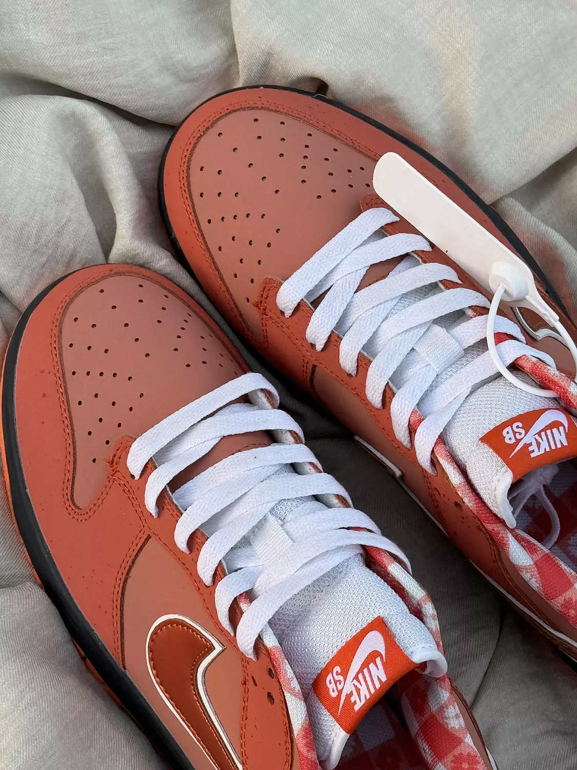 Nike X Concepts SB Dunk low “orange lobster  1
