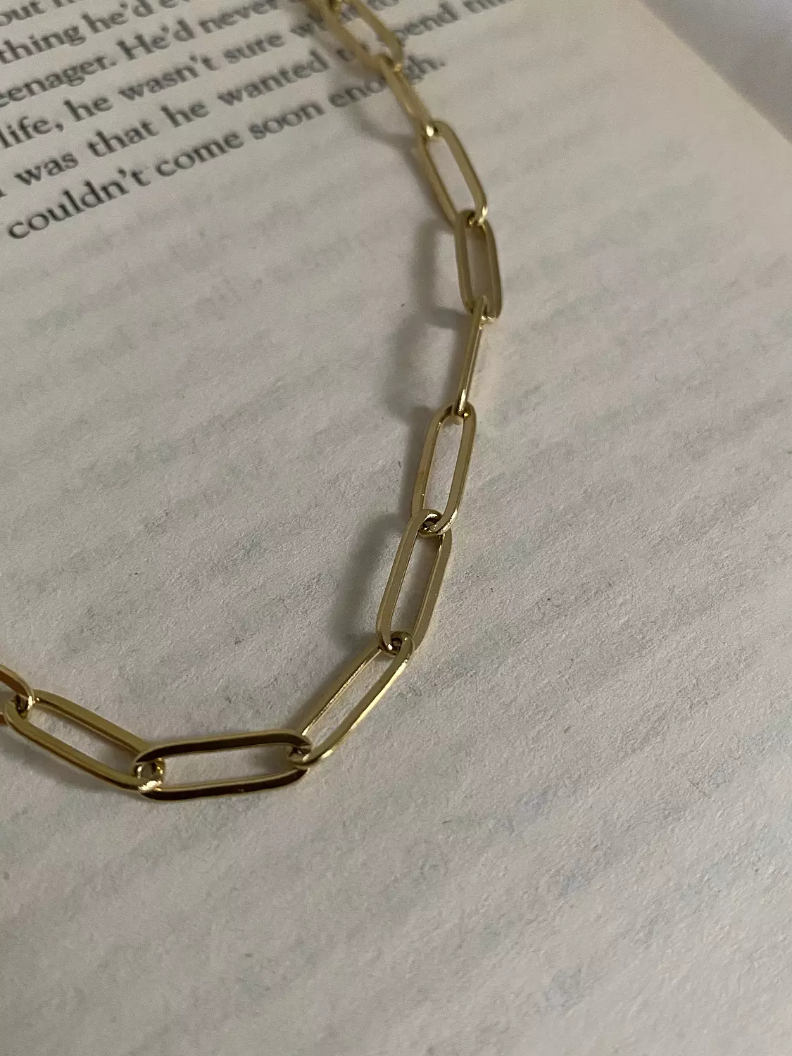 Paperclip Necklace 1