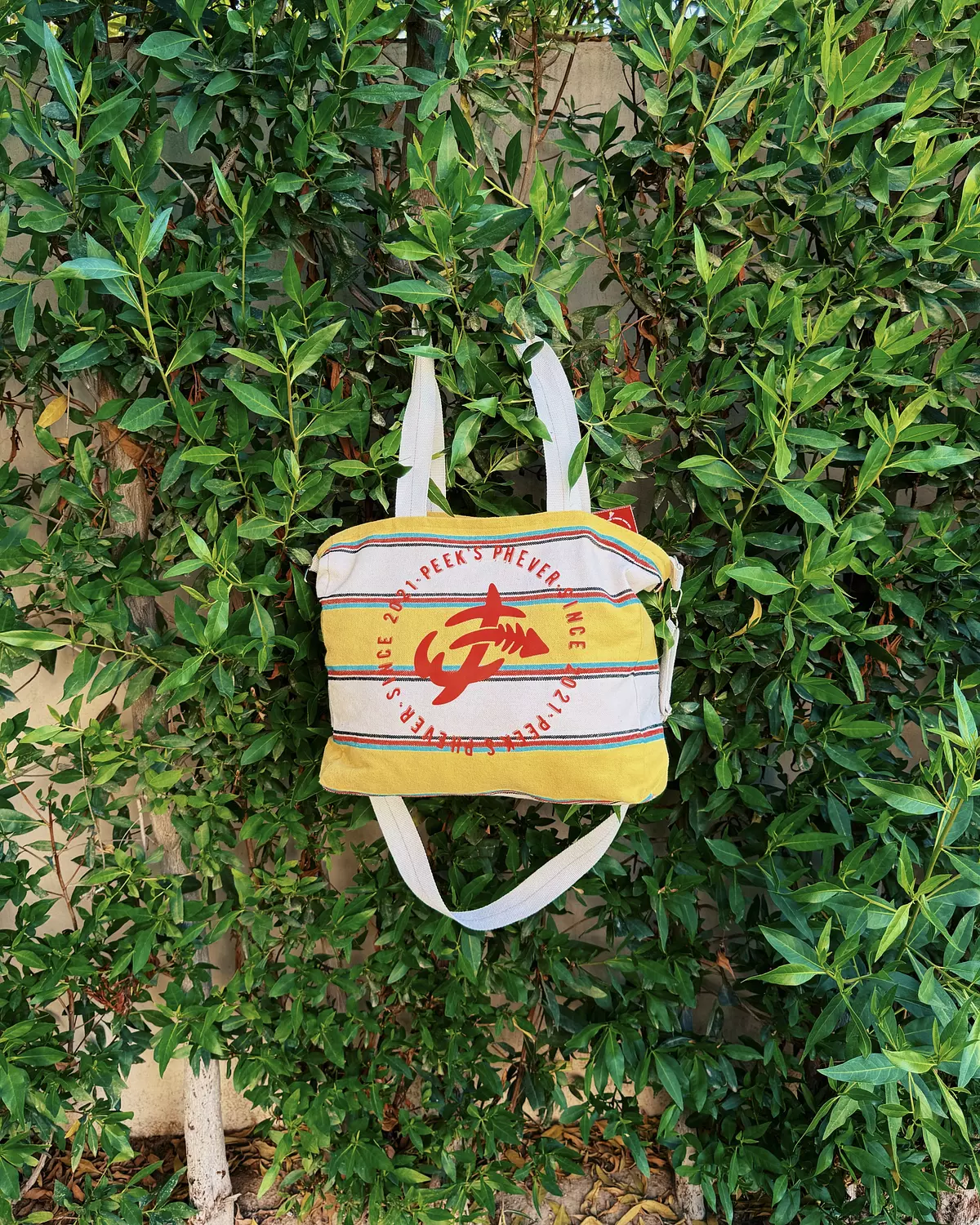Phlavitta (Yellow) 2