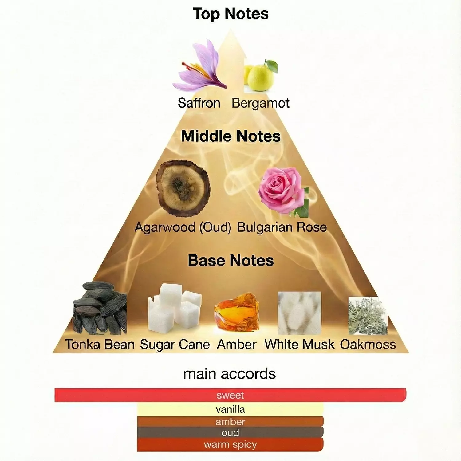 Empire - للرجال 2