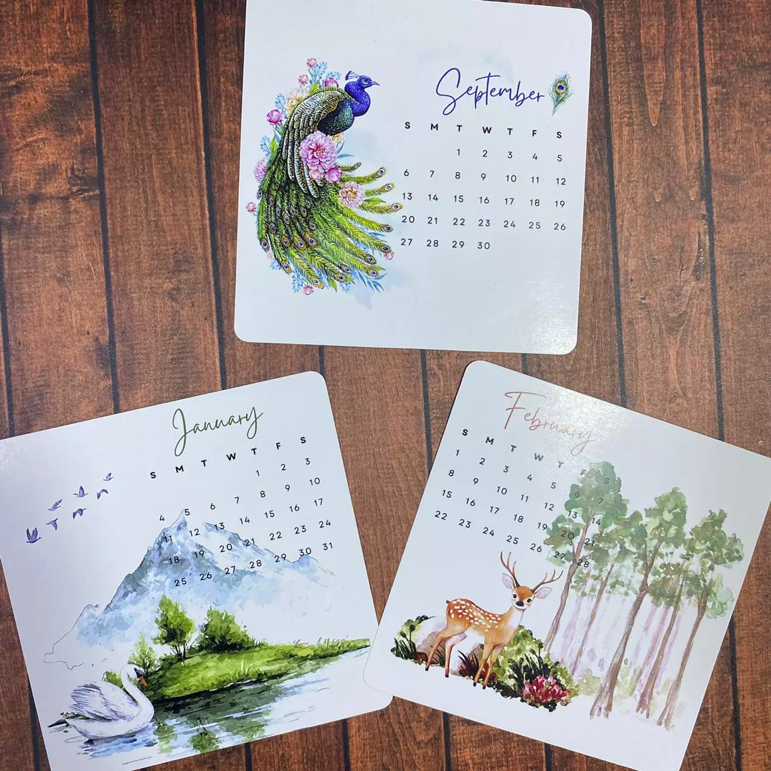 2026 Animals and Birds Desk Calendar 4