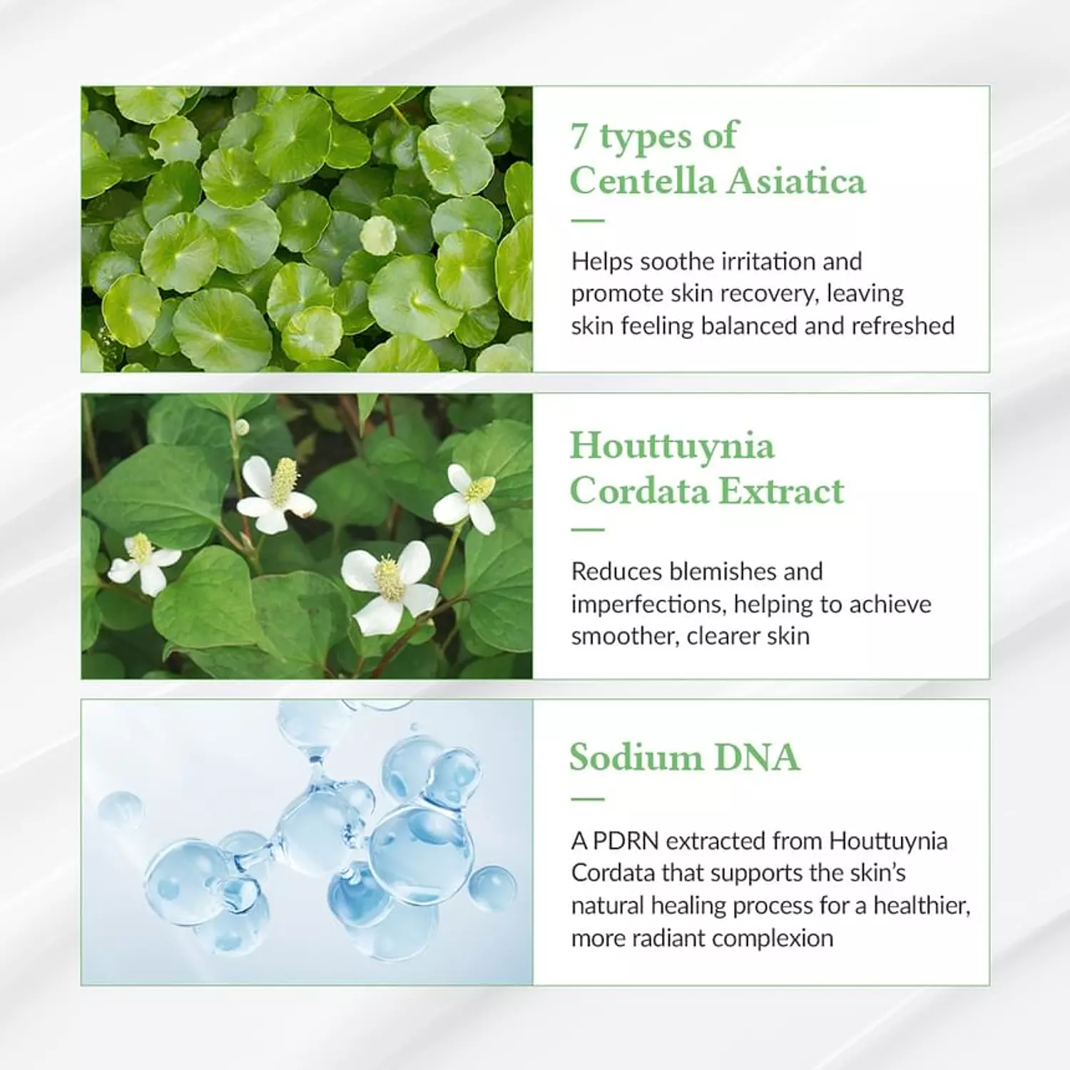 Dr. Althea - Green Tea Fresh Sunscreen 5