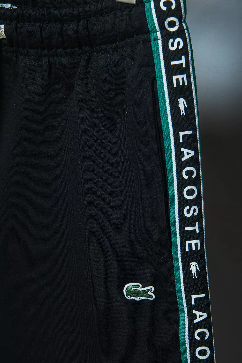 LACOSTE SHORT \  2188 5