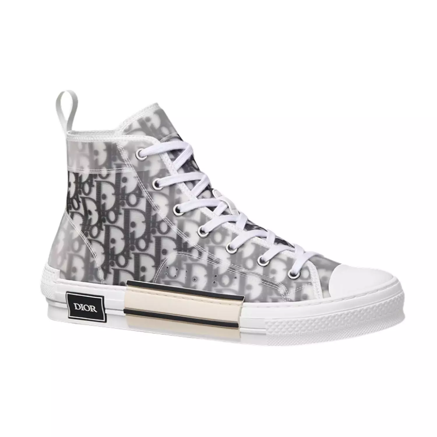 Dior B23 High Top Logo Oblique 3