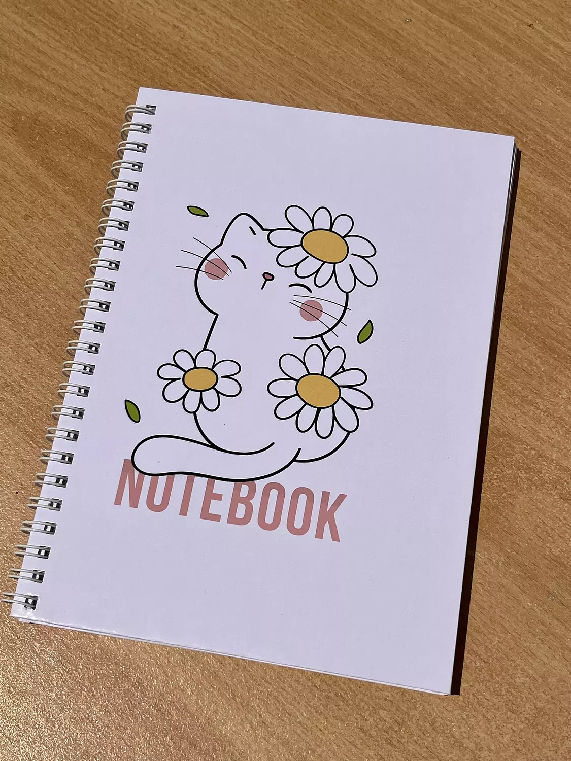 The cat notebook image