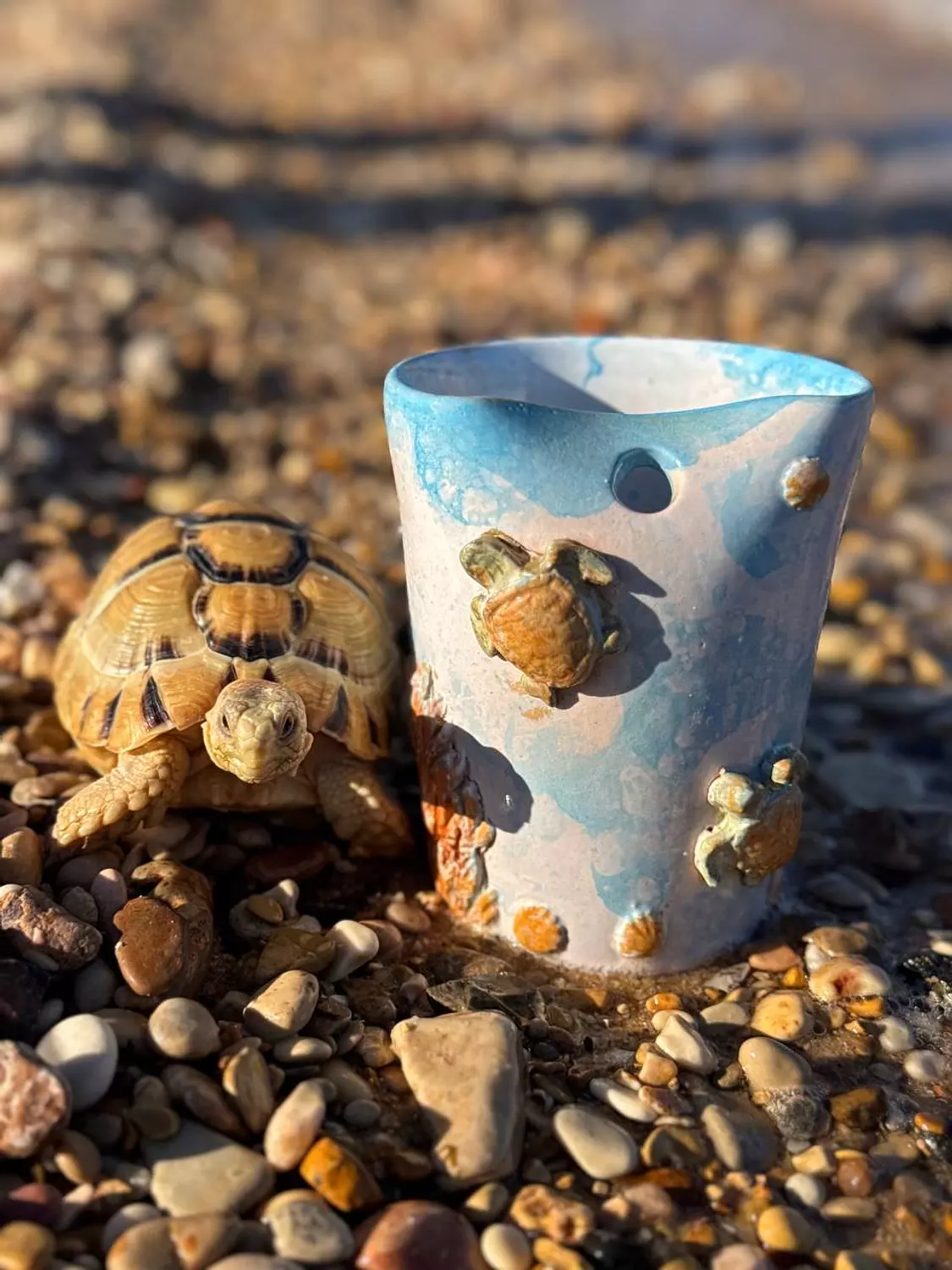 zuzu turtle mug image