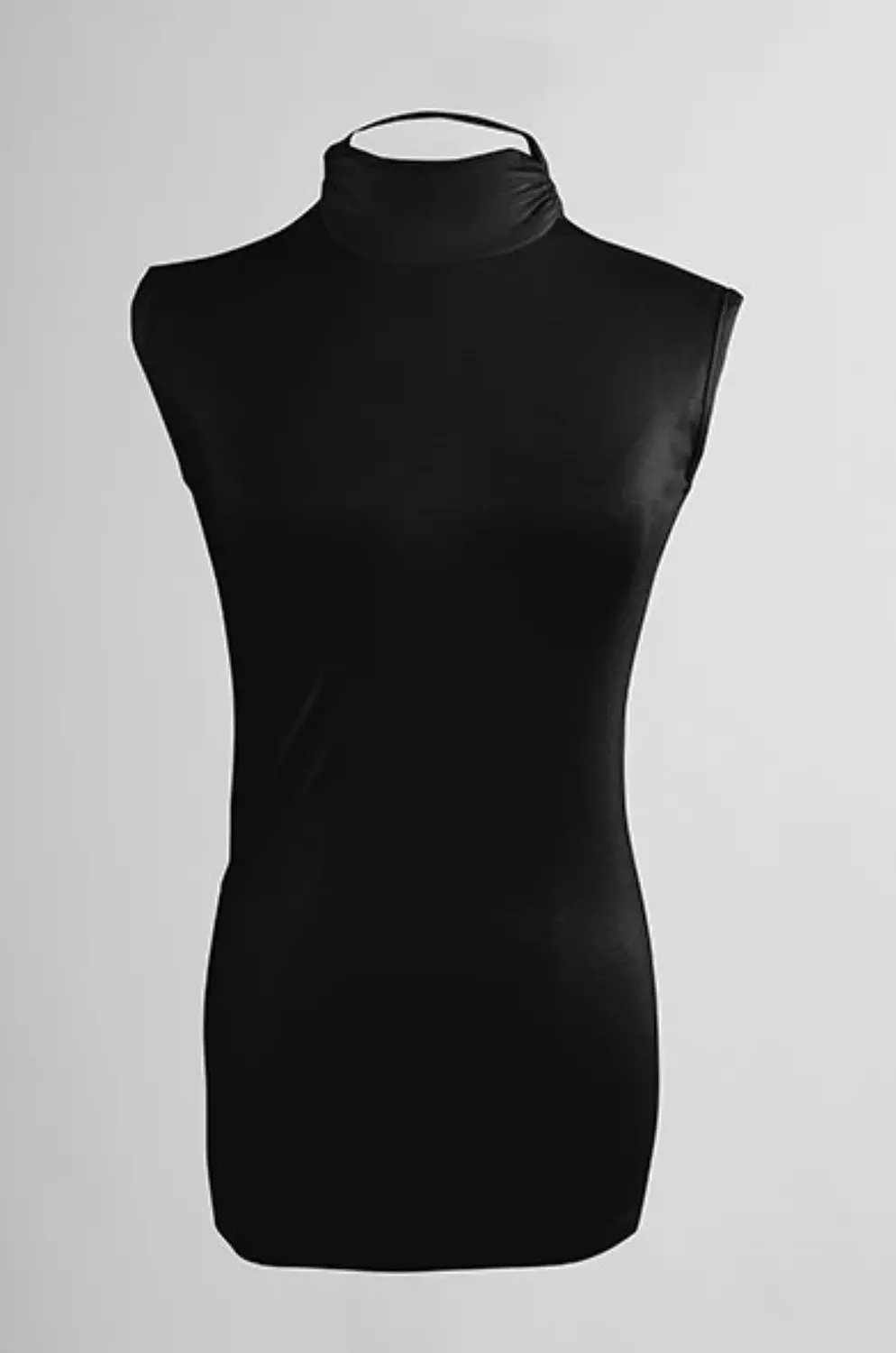 Body Sleeveless normal neck image
