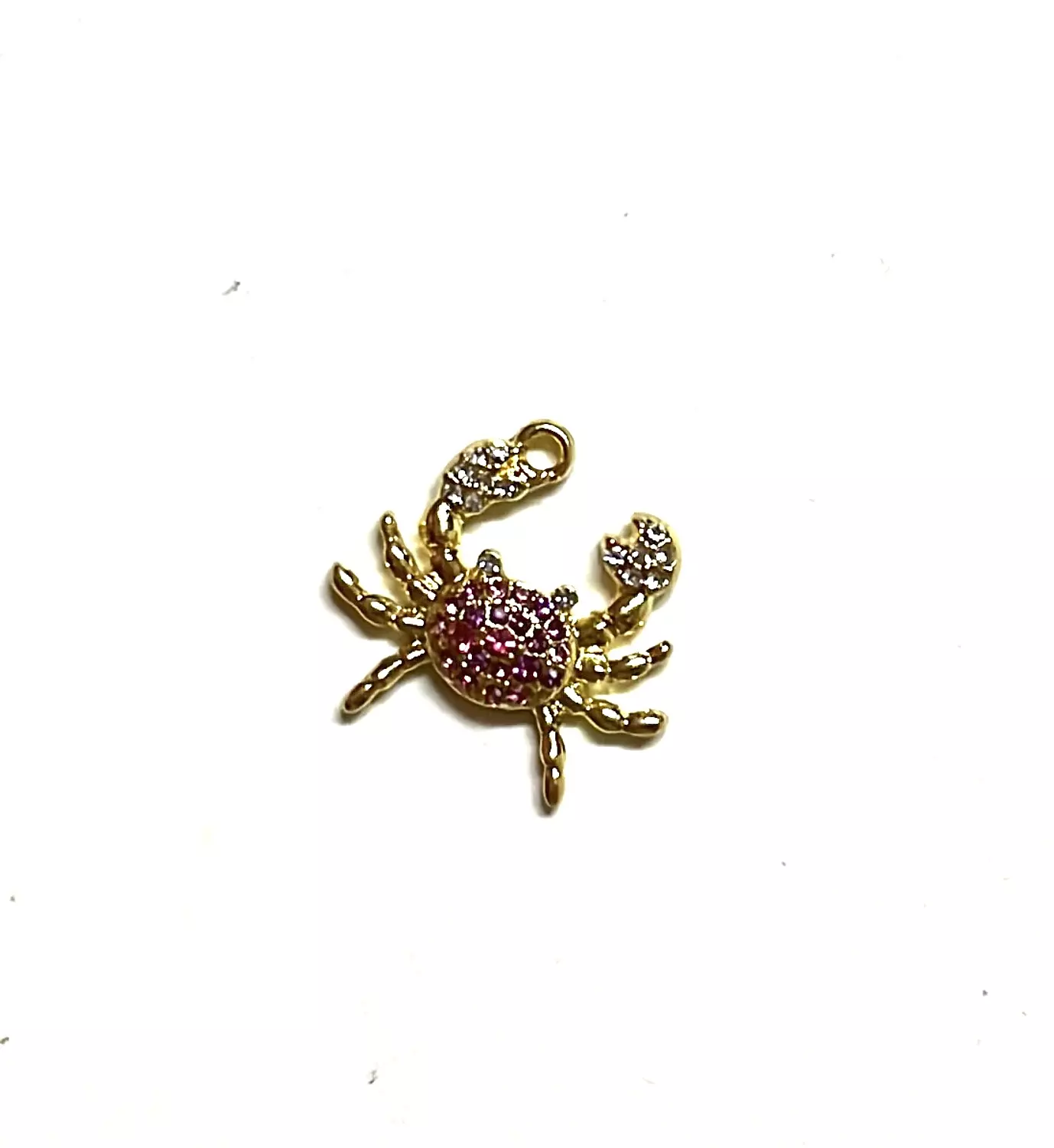 Octopus image