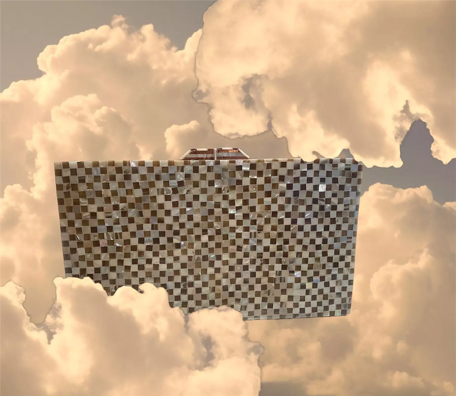 Mother of Pearl Bags 1