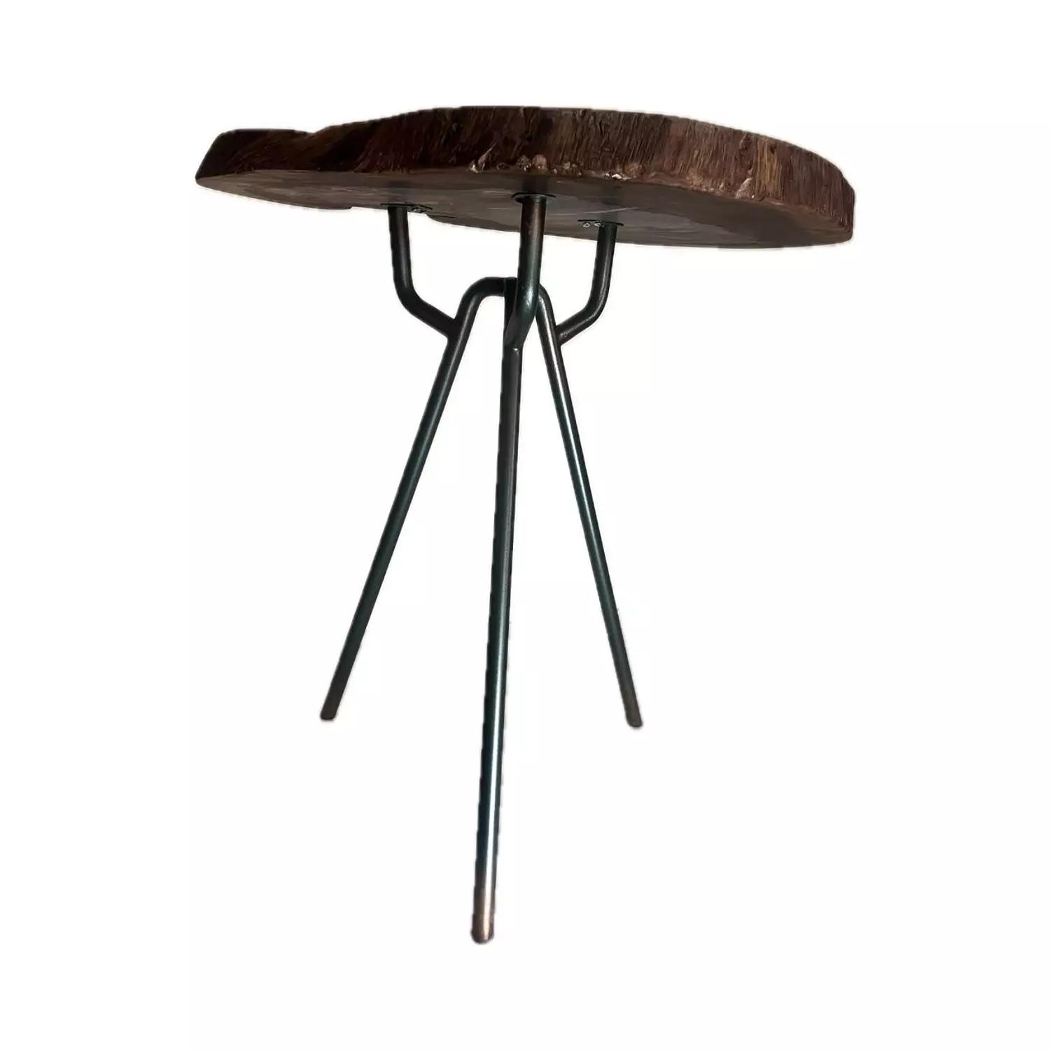 Tree Log- Natural Leaves Side Table  2