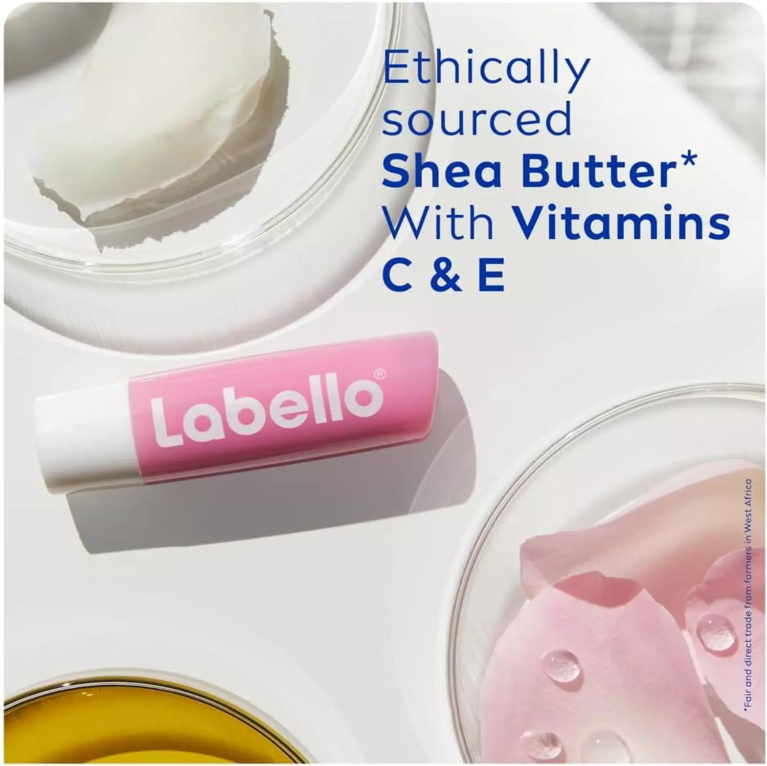 LABELLO ROSE TINTED LIP BALM SOFT ROSE 4.8 GM 2