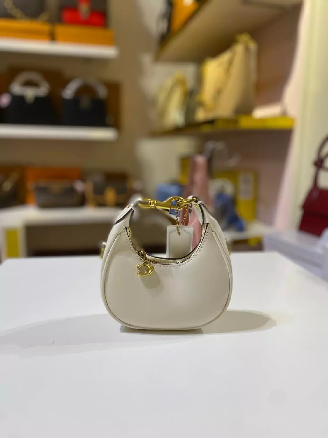 Coach mini  image