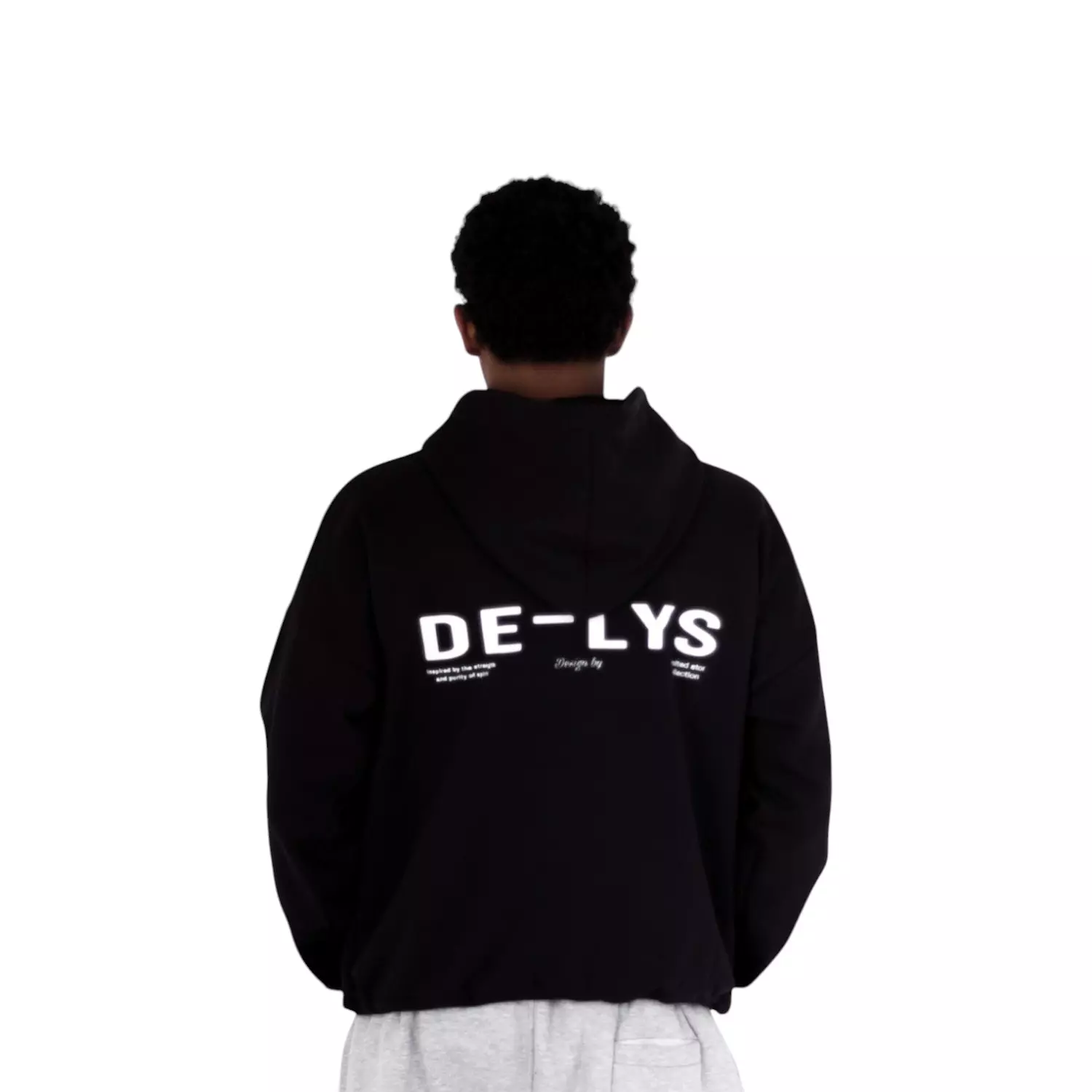 DELYS standard hoodie  hover image